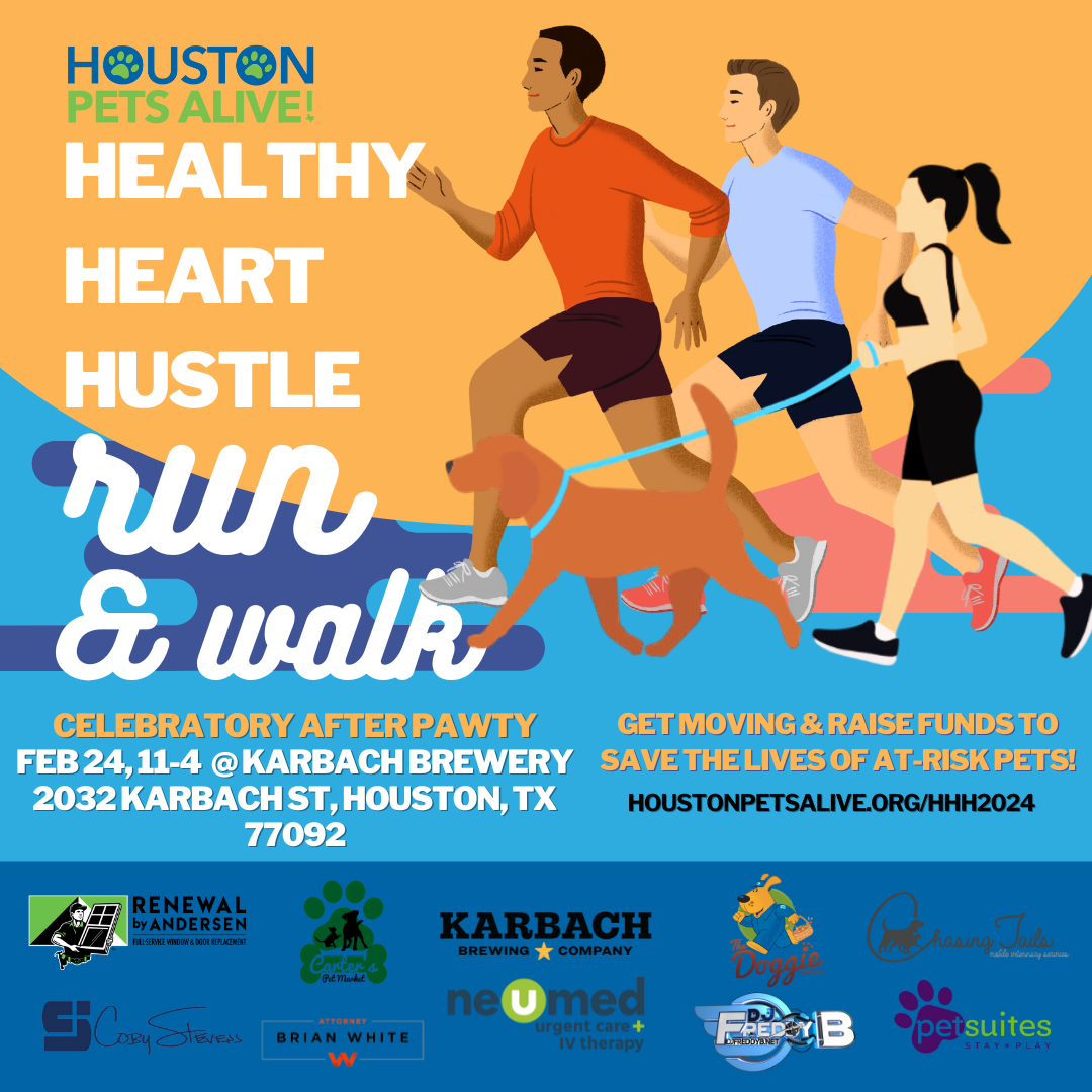 HEART HUSTLE FEST  HEALTH & WELLNESS